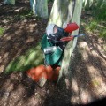 2019-06-19 06.09.26.jpg